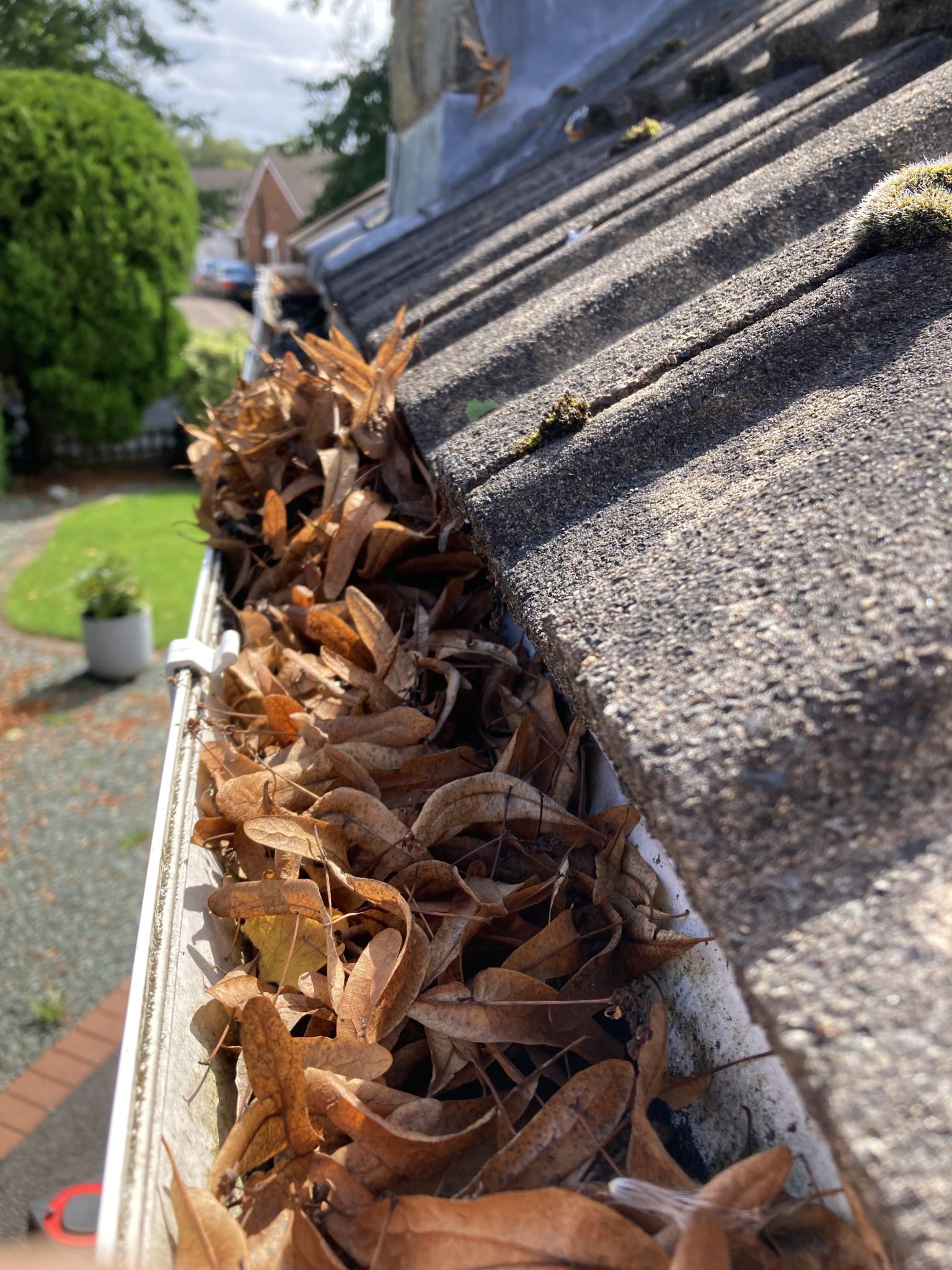 a pile of leaves on a roof