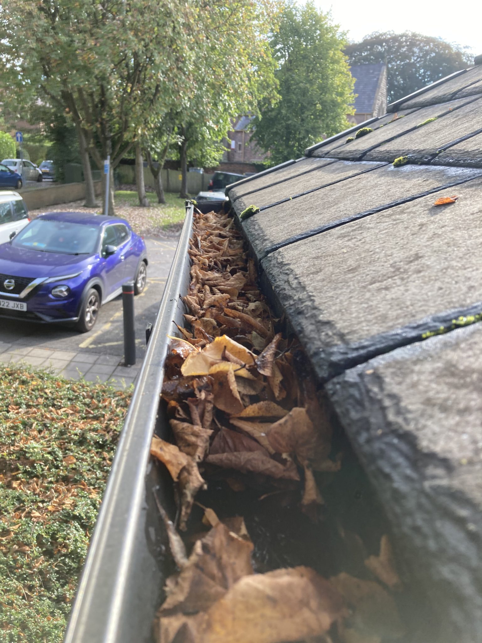 a gutter full of leaves