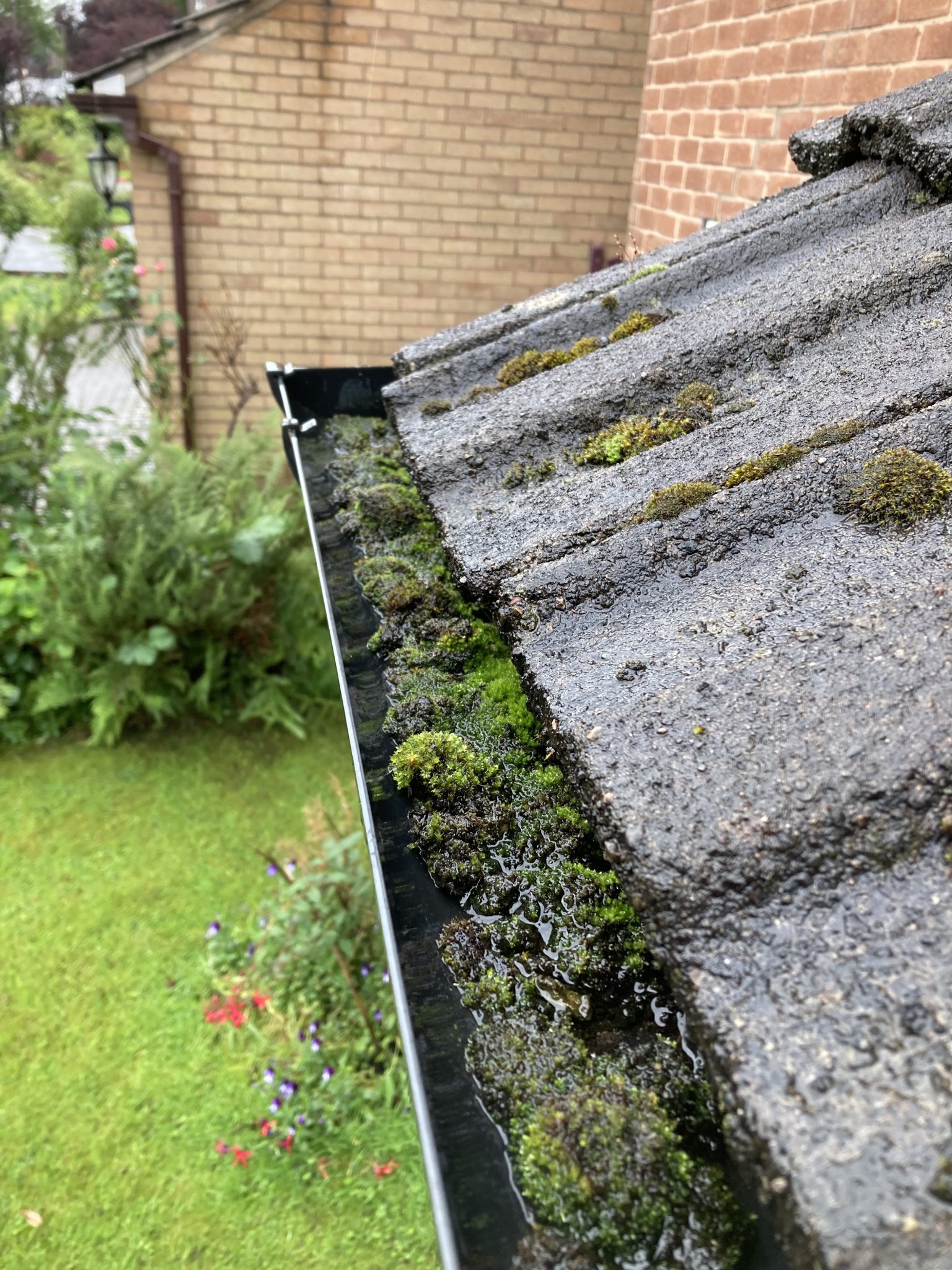 a roof with moss growing on it